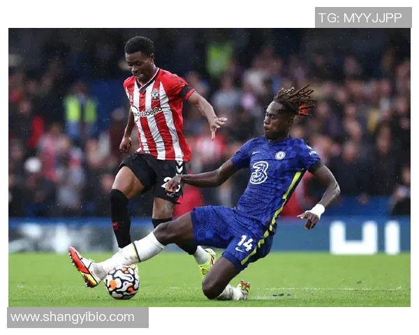 南安普顿主场迎战西布罗英超对决引发球迷热议与期待